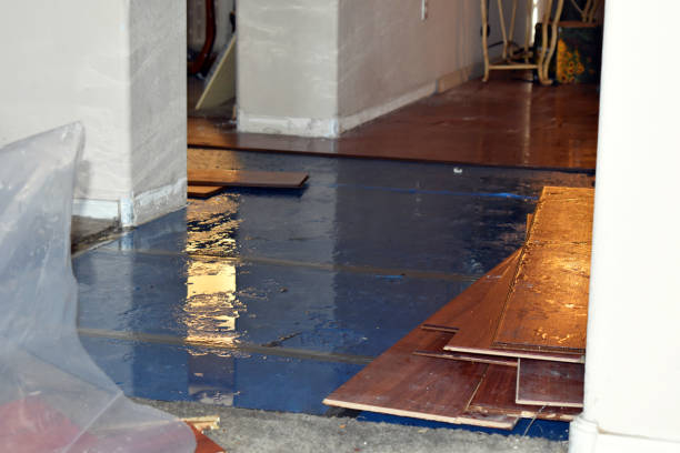 Professional Sewage Cleanup technician working in Grandview, TX